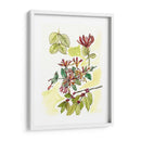 Notas De Campo Floral Iv - Melissa Wang | Cuadro decorativo de Canvas Lab