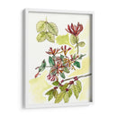 Notas De Campo Floral Iv - Melissa Wang | Cuadro decorativo de Canvas Lab