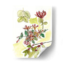 Notas De Campo Floral Iv - Melissa Wang | Cuadro decorativo de Canvas Lab