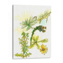 Notas De Campo Floral V - Melissa Wang | Cuadro decorativo de Canvas Lab