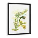 Notas De Campo Floral V - Melissa Wang | Cuadro decorativo de Canvas Lab