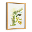 Notas De Campo Floral V - Melissa Wang | Cuadro decorativo de Canvas Lab