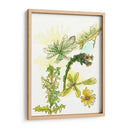 Notas De Campo Floral V - Melissa Wang | Cuadro decorativo de Canvas Lab