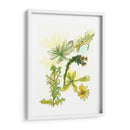 Notas De Campo Floral V - Melissa Wang | Cuadro decorativo de Canvas Lab