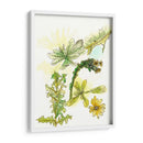 Notas De Campo Floral V - Melissa Wang | Cuadro decorativo de Canvas Lab