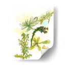 Notas De Campo Floral V - Melissa Wang | Cuadro decorativo de Canvas Lab