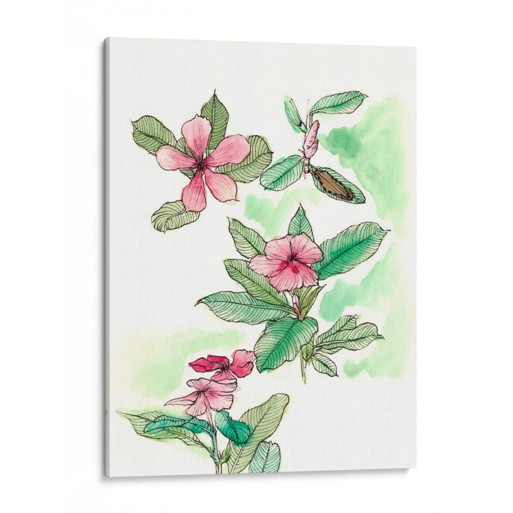 Notas De Campo Floral Vi - Melissa Wang | Cuadro decorativo de Canvas Lab