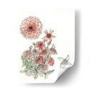 Estudio De Dalia - Melissa Wang | Cuadro decorativo de Canvas Lab