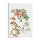 Estudio De La Begonia - Melissa Wang | Cuadro decorativo de Canvas Lab