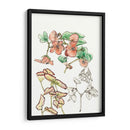 Estudio De La Begonia - Melissa Wang | Cuadro decorativo de Canvas Lab