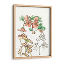 Estudio De La Begonia - Melissa Wang | Cuadro decorativo de Canvas Lab