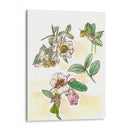 Estudio De Camelia - Melissa Wang | Cuadro decorativo de Canvas Lab