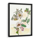 Estudio De Camelia - Melissa Wang | Cuadro decorativo de Canvas Lab