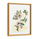 Estudio De Camelia - Melissa Wang | Cuadro decorativo de Canvas Lab