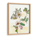 Estudio De Camelia - Melissa Wang | Cuadro decorativo de Canvas Lab