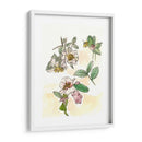 Estudio De Camelia - Melissa Wang | Cuadro decorativo de Canvas Lab