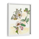 Estudio De Camelia - Melissa Wang | Cuadro decorativo de Canvas Lab