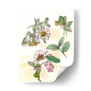 Estudio De Camelia - Melissa Wang | Cuadro decorativo de Canvas Lab