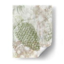 Pinecion Fresco I - June Erica Vess | Cuadro decorativo de Canvas Lab