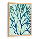Bosque De Mar I - Grace Popp | Cuadro decorativo de Canvas Lab