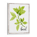 Hierbas De Acuarela I - Grace Popp | Cuadro decorativo de Canvas Lab