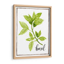 Hierbas De Acuarela I - Grace Popp | Cuadro decorativo de Canvas Lab