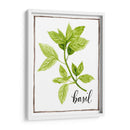 Hierbas De Acuarela I - Grace Popp | Cuadro decorativo de Canvas Lab