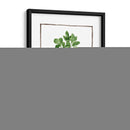 Hierbas De Acuarela Ii - Grace Popp | Cuadro decorativo de Canvas Lab