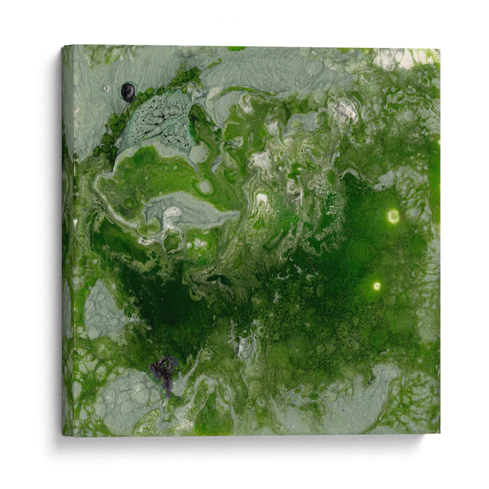 Pangea I - Alicia Ludwig | Cuadro decorativo de Canvas Lab
