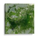 Pangea I - Alicia Ludwig | Cuadro decorativo de Canvas Lab