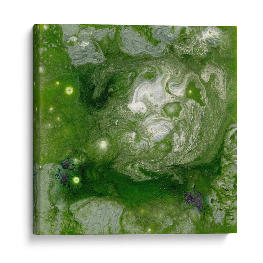 Pangea Ii - Alicia Ludwig | Cuadro decorativo de Canvas Lab