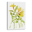 Acuarela Lirios I - Melissa Wang | Cuadro decorativo de Canvas Lab