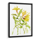 Acuarela Lirios I - Melissa Wang | Cuadro decorativo de Canvas Lab