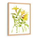 Acuarela Lirios I - Melissa Wang | Cuadro decorativo de Canvas Lab