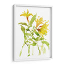 Acuarela Lirios I - Melissa Wang | Cuadro decorativo de Canvas Lab