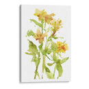 Lilies Acuarela Ii - Melissa Wang | Cuadro decorativo de Canvas Lab