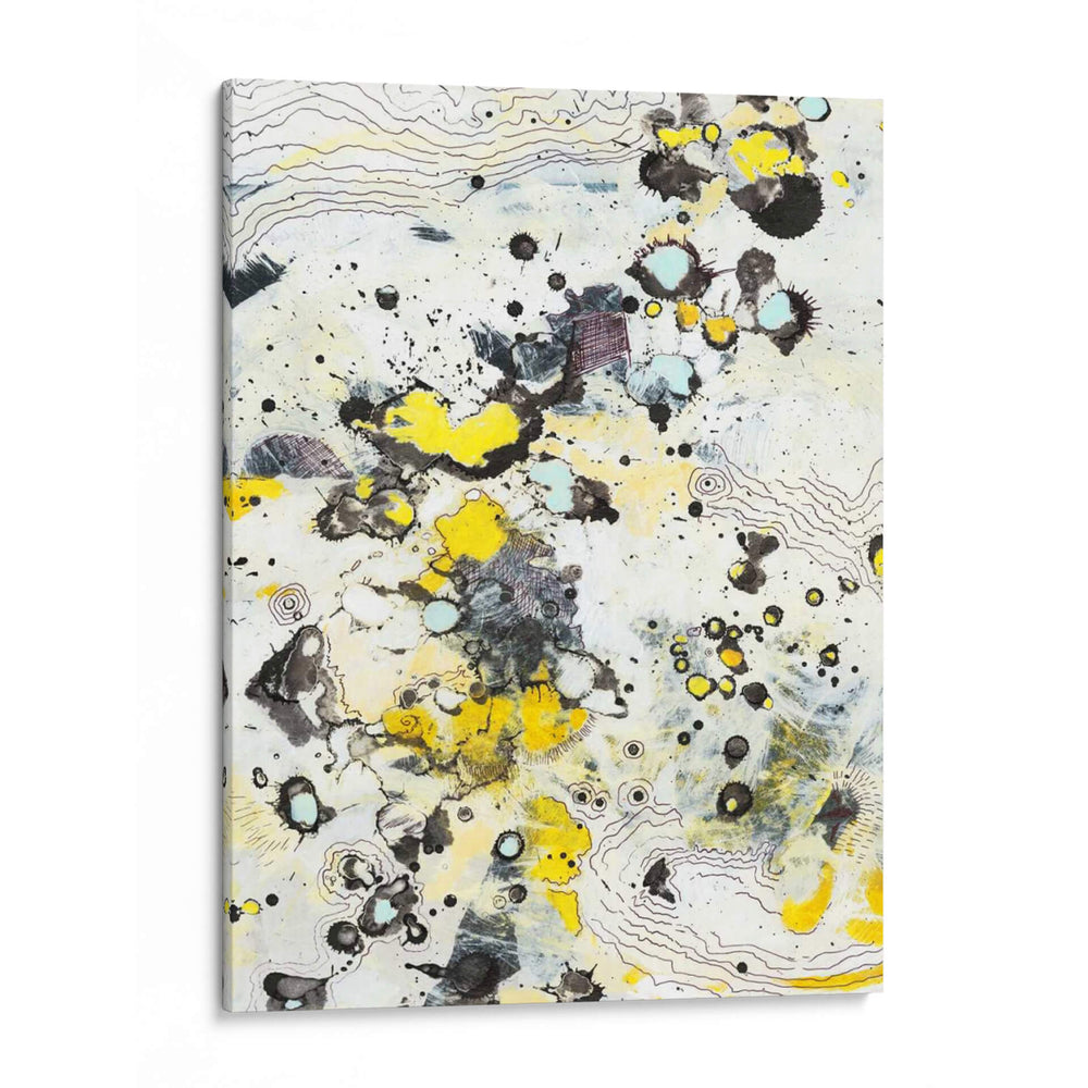 Topo I - Jodi Fuchs | Cuadro decorativo de Canvas Lab