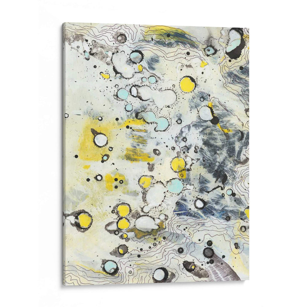 Topo Ii - Jodi Fuchs | Cuadro decorativo de Canvas Lab