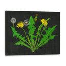 Diente De León Salvaje I - Melissa Wang | Cuadro decorativo de Canvas Lab