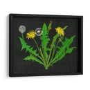Diente De León Salvaje I - Melissa Wang | Cuadro decorativo de Canvas Lab