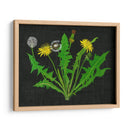 Diente De León Salvaje I - Melissa Wang | Cuadro decorativo de Canvas Lab