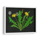 Diente De León Salvaje I - Melissa Wang | Cuadro decorativo de Canvas Lab