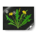 Diente De León Salvaje I - Melissa Wang | Cuadro decorativo de Canvas Lab