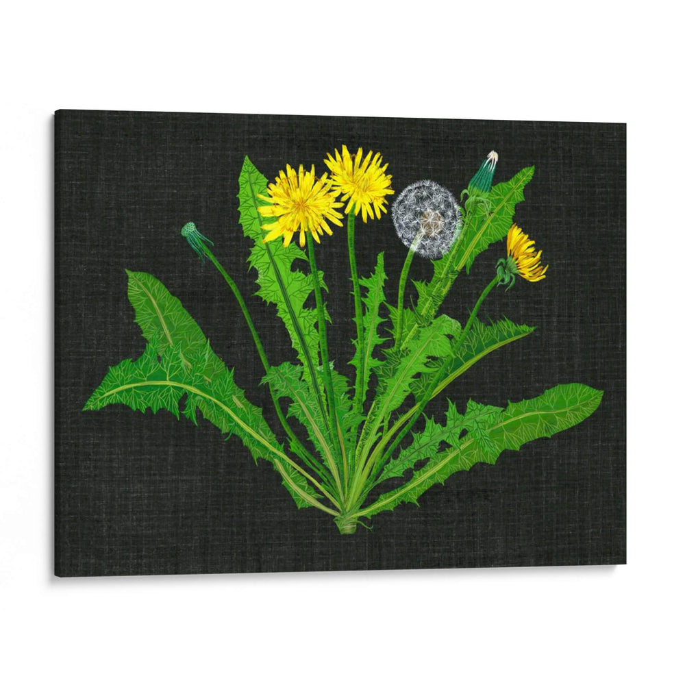 Diente De León Salvaje Ii - Melissa Wang | Cuadro decorativo de Canvas Lab