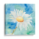 Daisy Sunshine Ii - Regina Moore | Cuadro decorativo de Canvas Lab