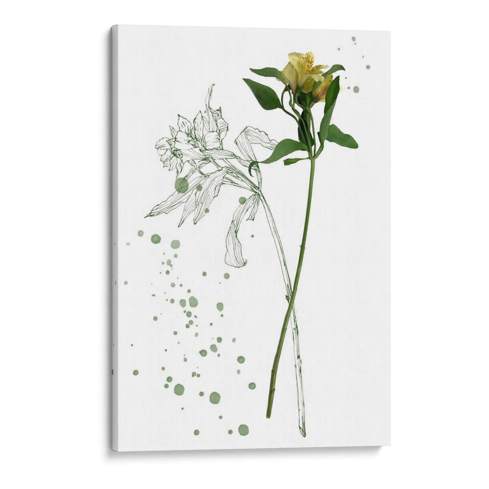 Flor De Botánica I - Melissa Wang | Cuadro decorativo de Canvas Lab
