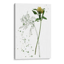 Flor De Botánica I - Melissa Wang | Cuadro decorativo de Canvas Lab