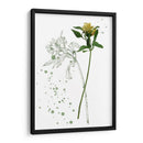 Flor De Botánica I - Melissa Wang | Cuadro decorativo de Canvas Lab