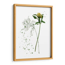 Flor De Botánica I - Melissa Wang | Cuadro decorativo de Canvas Lab