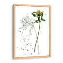 Flor De Botánica I - Melissa Wang | Cuadro decorativo de Canvas Lab